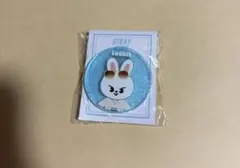 straykids leeknow leebit アクリルクリップ