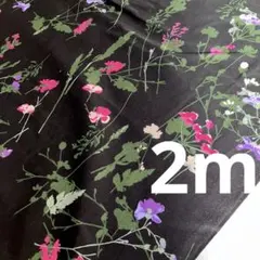 Item thumbnail for item eaf72825-19de-4a35-889e-6dad3e881e0b