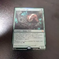 アナグマモグラの仔　（日本語版）３枚セット　うち一枚foil MTG専門店|東京MTG】MTGカード・アート通販サイト