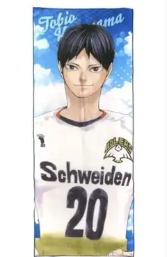 ハイキュー.ᐟ‪‪.ᐟ サイン入りミニ色紙 シュヴァイデン アドラーズ‬‬