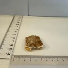 北海道石　然別オパール　蛍光オパール172g 北海道石 然別オパール 蛍光オパール21g - メルカリ