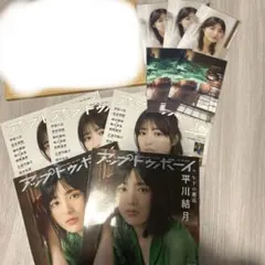 Item thumbnail for item 8b5cf1b6-290b-4f5b-80a9-97415ee258ea