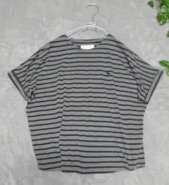 グレーと黒のストライプ 半袖Tシャツ