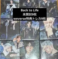 &TEAM Back to Life 未開封