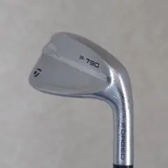 TaylorMade P790 アイアン5〜PW(2021)訳アリのサムネイル