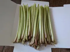 LaLa様専用 ①