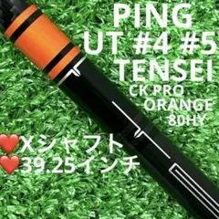 2025年最新】ping tensei 80の人気アイテム - メルカリ