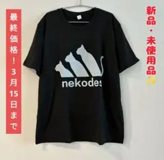 Item thumbnail for item a009e721-d9d3-4238-87fb-a16fac6c7ec9