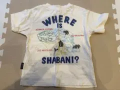 専用　シャバーニTシャツ　100サイズ