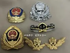 最新型中国人民解放軍現役21式礼服儀仗隊徽章類超フルセット10点