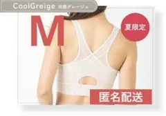 2026年最新】AGARISM×GYDAアップミースタイリングブラの人気アイテム