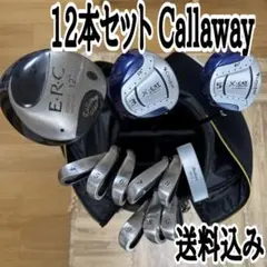 2026年最新】cougar Ti CATの人気アイテム - メルカリ