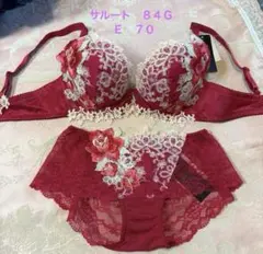 ワコール Wacoalサルート Salute 40周年 84G E70 M