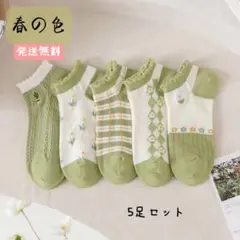 春新品レディースソックス5足セット　くるぶし ショートスニーカーソックス女性靴下