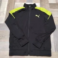 2025年最新】ジャージ プーマ 緑の人気アイテム - メルカリ