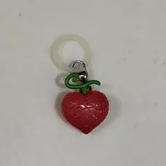 ワンピース　ONE PIECE めじるしアクセサリー3 オペオペの実