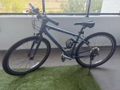 2026年最新】グラビエ ジャイアントの人気アイテム - メルカリ