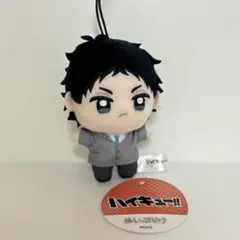 要購入申請 フクリエイト ピコぬい マスコット 榊原優希 葉山翔太