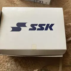 Item thumbnail for item 419408e3-3294-4c30-8f9e-8553286c4566