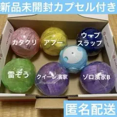 ワンピの実　新品未開封カプセル付きセット②