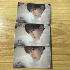 Stray Kids スキズ dominATE FCくじ バンチャン