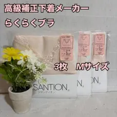 帝健　マルショー　リラックス　らくらくブラジャー　3枚　M　肌着　インナー　新品のサムネイル