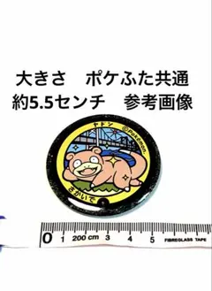 レア‼️ポケモン ポケふた マンホール 缶バッジ メタモン ラプラス し 