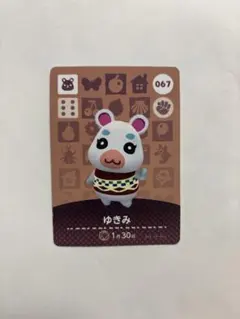 どうぶつの森　ゆきみ amiibo