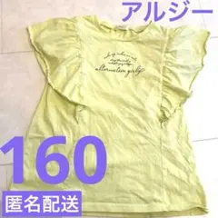 アルジー⭐︎Tシャツ 160 レモンイエロー 黄色 ロゴ 綿100% 袖フリルのサムネイル