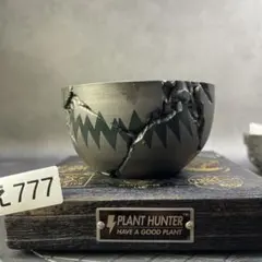 人気入荷！数量限定 ❶PLANT HUNTER オリジナル 陶器鉢植木鉢 - メルカリ