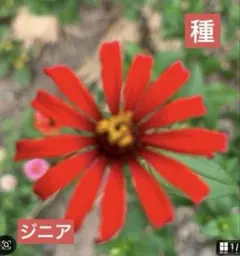 ゆみりん様 リクエスト 2点 まとめ商品