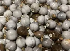 2025年最新】お手玉 数珠玉の人気アイテム - メルカリ