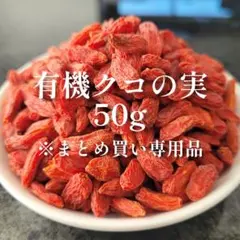 【ジュークFAMILYのおやつ】有機クコの実 50g 小動物 チンチラ デグーのサムネイル