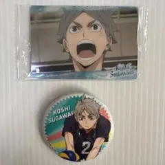 ハイキュー‼︎ 菅原孝支 缶バッジ＆ウエハースカードセット