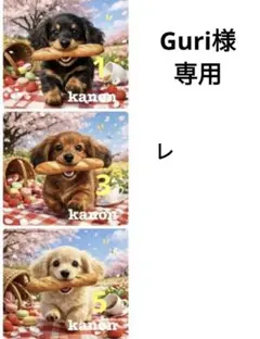 Guri様専用