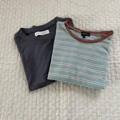 ZARA.ユナイテッドアローズ Tシャツ