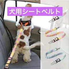 Item thumbnail for item 916bd1a2-e5a6-4244-8bbd-d5f703dd629c