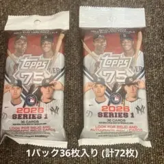 希少】2019 MLB開幕戦 公式プログラム & イチロー引退試合チケット半券