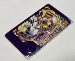 ポケモン　フレンダ　タケルライコ　テラスタル　スーパートレジャー　1