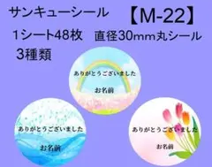 サンキューシール48枚【M-22】メッセージ/ギフト/ほんのきもち/ハンドメイド
