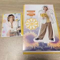 LEIYA SUNFLOWER アクリルスタンド フォトカード