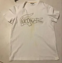 【即日発送】LACOSTE ラコステ 刺繍ロゴ Tシャツ ホワイト