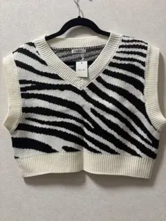 Item thumbnail for item 739a1897-6430-4712-a79b-aa9f470145b1