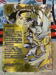 沈黙の守護者シュタイン シークレット 1