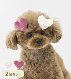 3COINS ハートヘアピン（レッド）