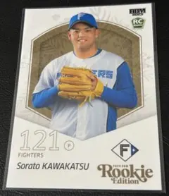 Item thumbnail for item 240dba71-4908-48c3-897f-297db2df6334