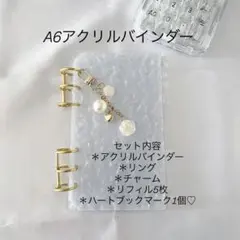 アクリルバインダー♡水流模様 A6韓国 バインダー貯金 saving Rose