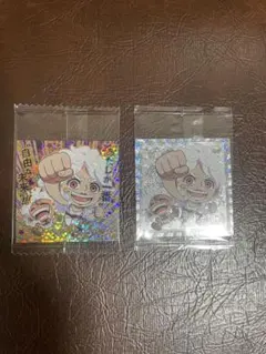 ワンピースシールウエハース　モンキー・D・ルフィ&ジュエリー・ボニー　SGR&P