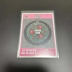 Item thumbnail for item 5ed5cd2d-455a-4d78-8636-01cb184c6f97