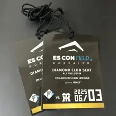 【使用済チケット】ESCON FIELD DIAMOND CLUB SEAT